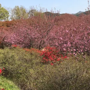 완산공원