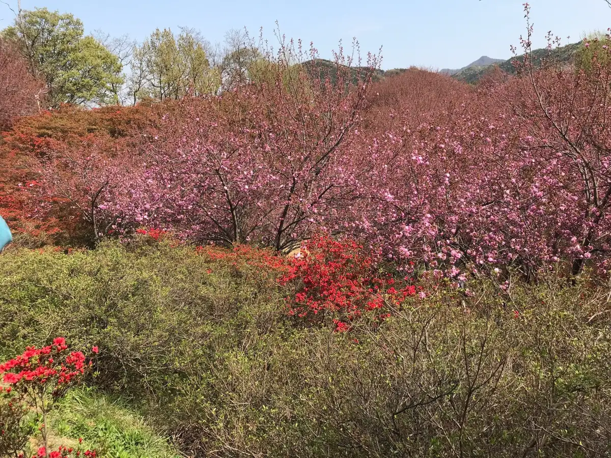 Wansan Park