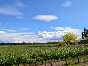 Bodega Del Fin Del Mundo