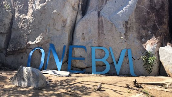 Blue Line Yacht Charters