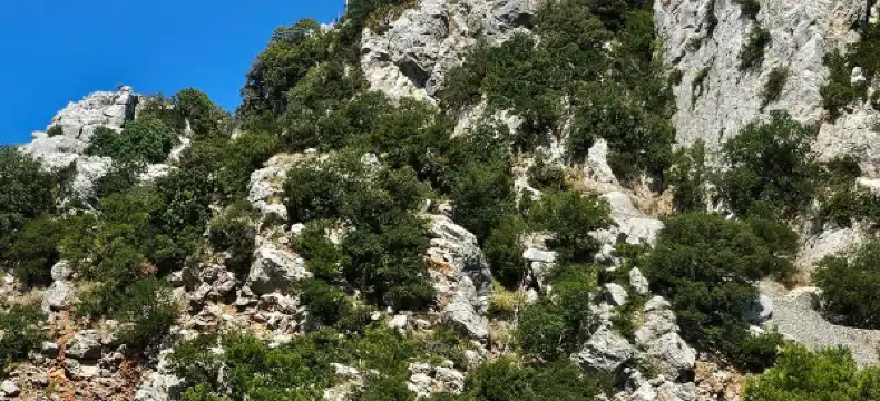 Hotels in Zaloggo