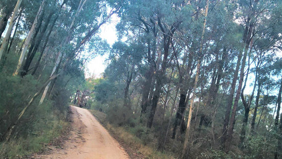 Moggs Creek Picnic Area