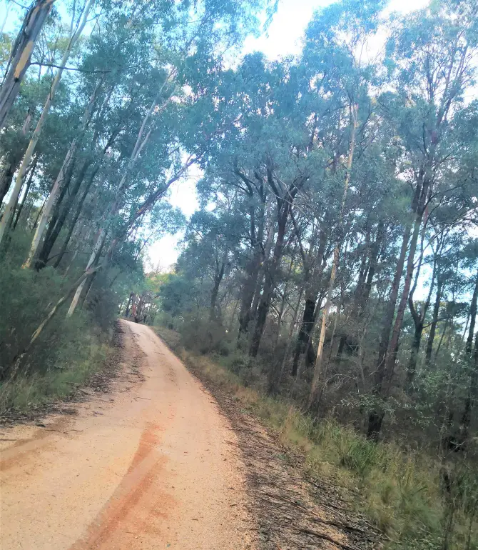 Moggs Creek