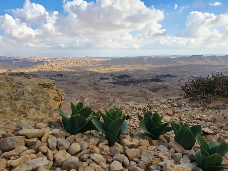 Hôtels à : Yeruham