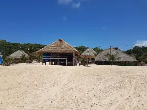 UTRAN Unidade de Turismo Rural Acai Nativo