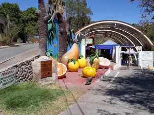 Cocha Resbaladero