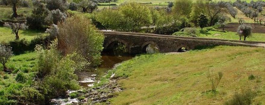 Ponte do Chocanal