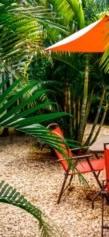 Hotels near Brasilito Beach