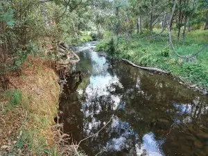 Platypus Walk