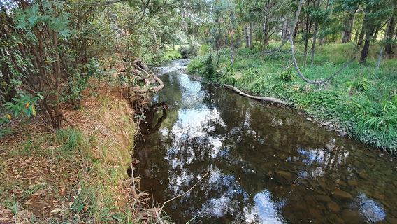 Geeveston