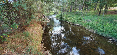 Platypus Walk Geeveston