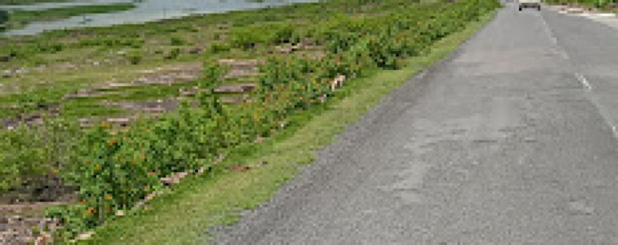 Gorsari Hill