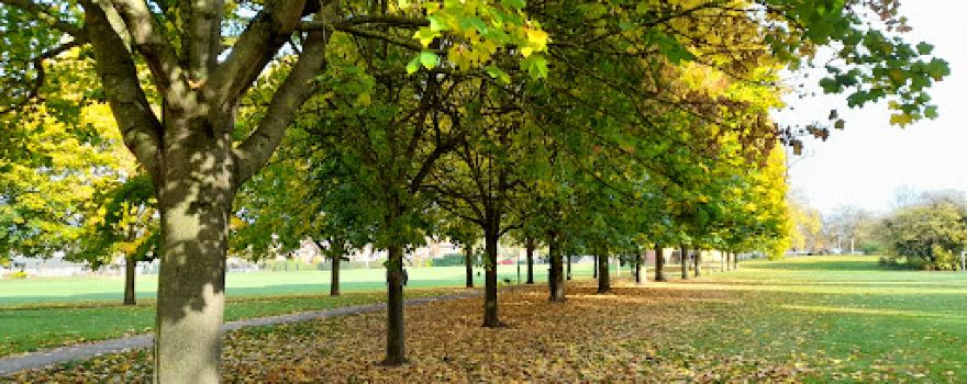 Manor Farm Open Space