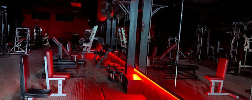 Pro Gym World Fitness