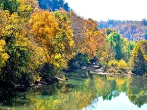 Pinecrest Campground & Cabins
