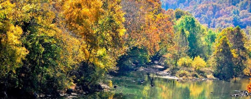Pinecrest Campground & Cabins