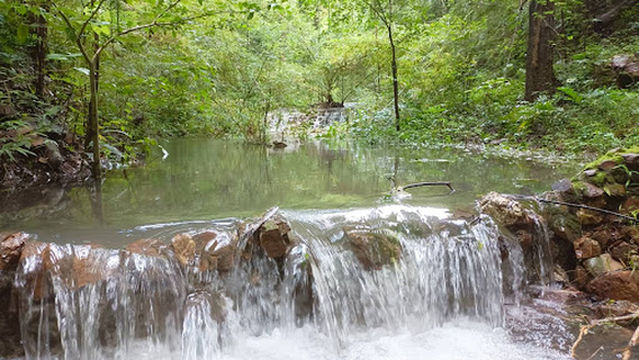 Khao Nam Pu Nature and Wildlife Education Center