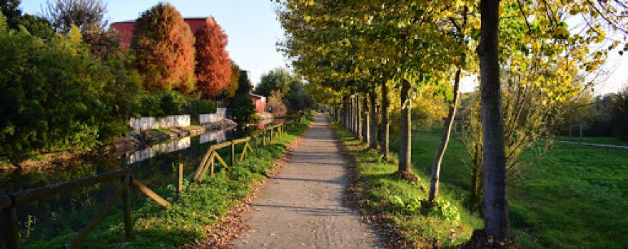 Vallette Park