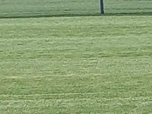 Appling County Recreation Complex