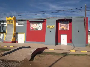 Fenix Disco