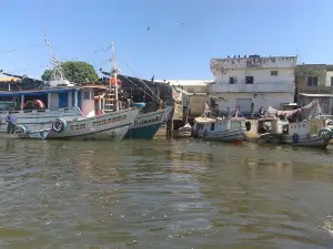 Private Natural Heritage Reserve Osório Reimão