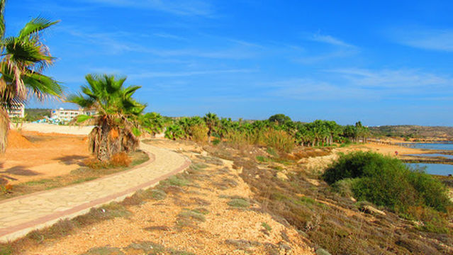 Little excavator beach