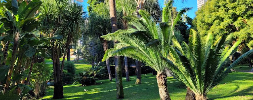 Jardins de la Petite Afrique