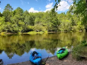Bay Park Resort & Campground