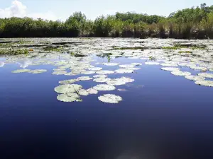 Black River