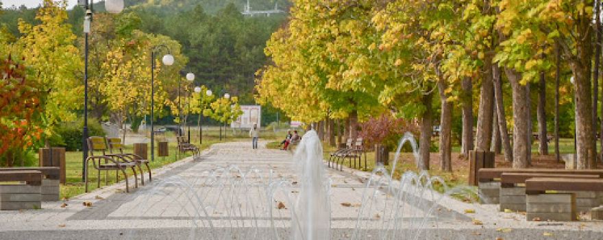 Park "Children's Playground"