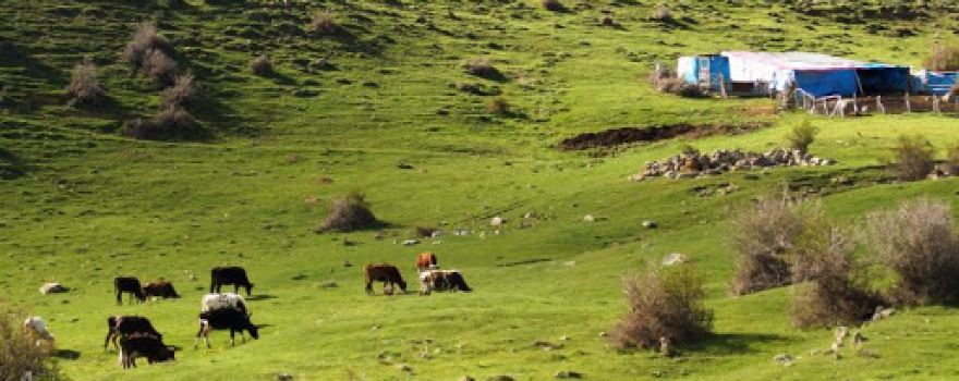Aydos Yaylası