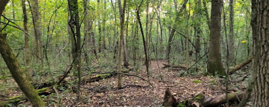 Lasley Point Archeological Site