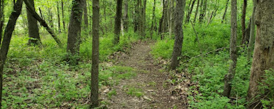 West Park Nature Trails