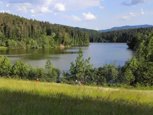 Lake Gradišče
