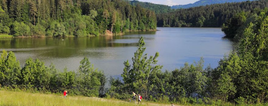 Lake Gradišče