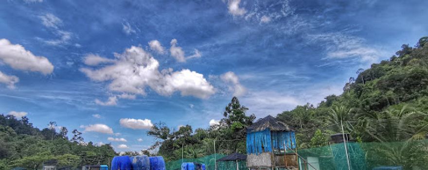Kombat Zone Paintball