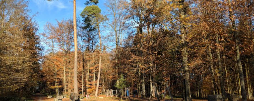 Spielplatz Krugeiche