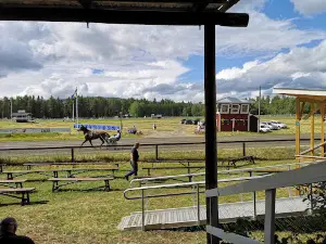 Hotingtravet