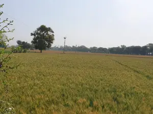 Dugri Guru Ji Mandir