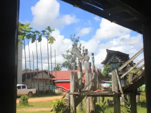 Betang Toyoi