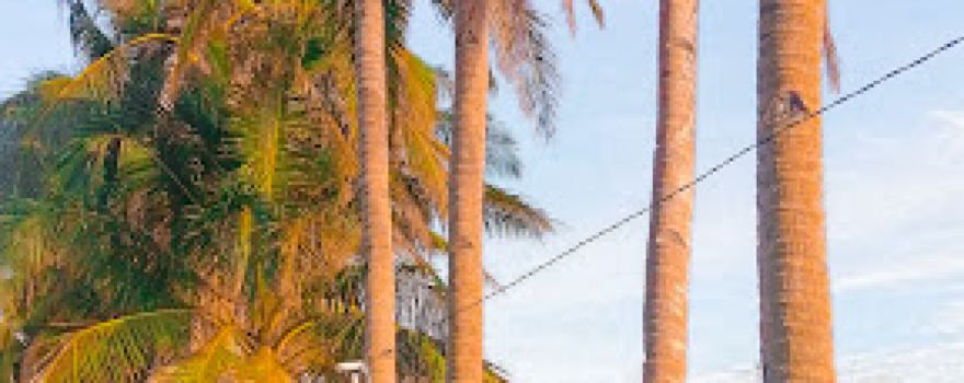 Puerto Moreno Beach Resort
