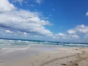Mi Cayito