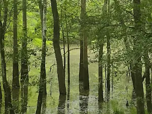 Trinity River National Wildlife Refuge