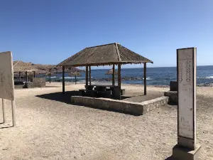 Poza La Tortuga