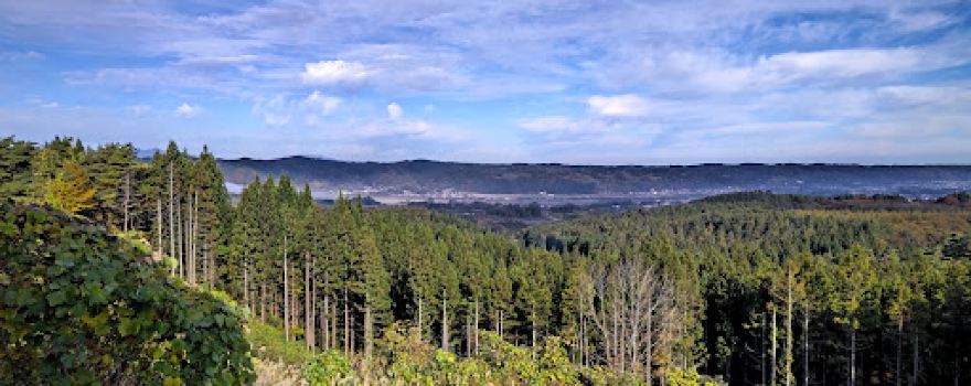 Nagawa-cheririnmura Auto Camping Ground