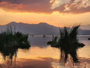 Laguna De Zapotlan