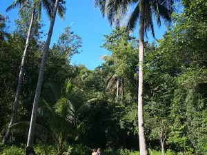 Agbalit Forest Resort