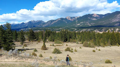Wilmer Wetland Hike