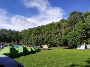 Sangaithel Park & Resort