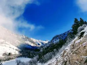 Cherry Peak Resort